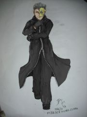 Organisation Cloak: Part 6: Father Balder org cloak, (colour) Organisation Cloak: Part 6: Father Balder org cloak, (colour)
