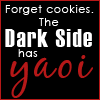 The darkside has yaoi