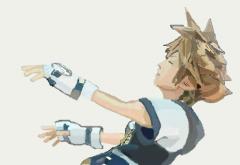 Sora Falling