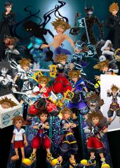 Sora's Forms