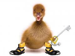 sora duck with paint