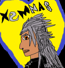 xemnas paint side