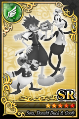 Sora, Donald Duck & Goofy SR Speed.png