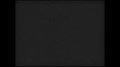 KINGDOM HEARTS III - CLASSIC KINGDOM Trailer 0239.jpg