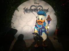 Donald Duck In Kingdom Hearts attire At Disney Vacation Club Member's Moonlight Magic after hours event At Disneyland 1