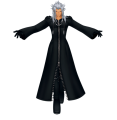 worlds-ttnw-enlarged-xemnas