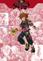 Character Card - Sora