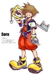 Sora1.png