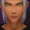 YoungXehanort55